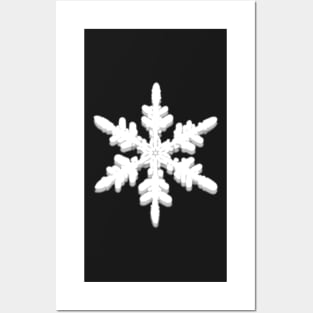 Snowflake Posters and Art